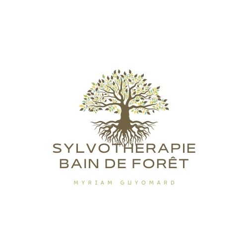 Bain de Forêt Sylvothérapie